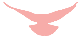 3gYiayImBweMG7bVcjhicKK6VlBDOhMC3AEibodlM2PV7z6ScWtbxAM5krEa08sK7rRD2LlgCwXbLPrupJllL9LtA 3gYiayImBweMG7bVcjhicKK6VlBDOhMC3AEibodlM2PV7z6ScWtbxAM5krEa08sK7rRD2LlgCwXbLPrupJllL9LtA